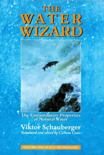 The Water Wizard: The Extraordinary Properties of Natural Water (Ecotechnology, 1, Band 1)