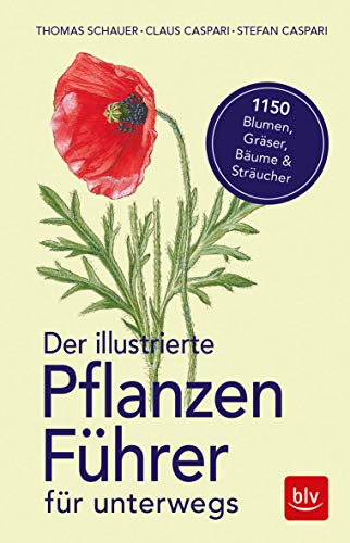 Der illustrierte Pflanzenführer für unterwegs: 1150 Blumen, Gräser, Bäume und Sträucher (BLV Naturführer)