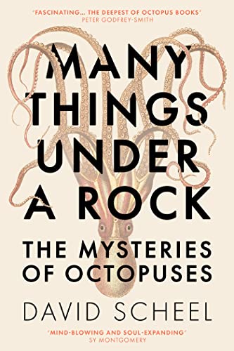 Many Things Under a Rock: The Mysteries of Octopuses von Hodder Press