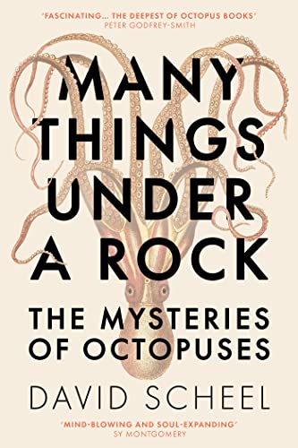 Many Things Under a Rock: The ‘mind-blowing’ book that reveals the mysteries of the octopus von Hodder Press