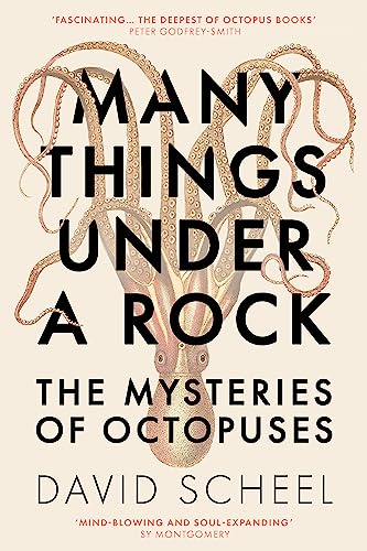 Many Things Under a Rock: The ‘mind-blowing’ book that reveals the mysteries of the octopus von Hodder & Stoughton