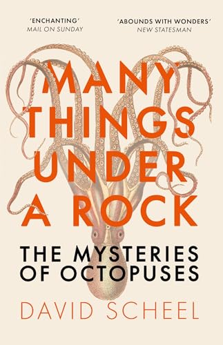 Many Things Under a Rock: The Mysteries of Octopuses von Hodder Press