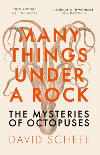 Many Things Under a Rock: The Mysteries of Octopuses