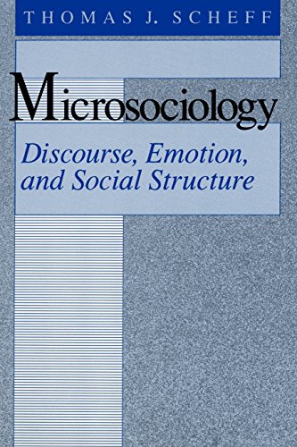 Microsociology: Discourse, Emotion, and Social Structure von University of Chicago Press