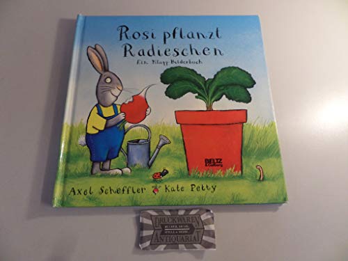 Rosi pflanzt Radieschen: Vierfarbiges Klapp-Bilderbuch: Ein Klapp-Bilderbuch (Beltz & Gelberg)