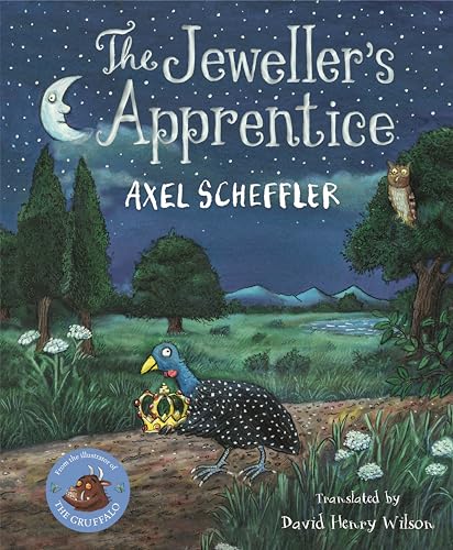 The Jeweller's Apprentice von Macmillan Children's Books