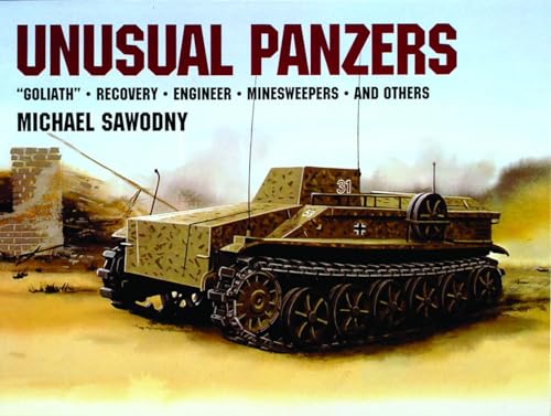 Unusual Panzers