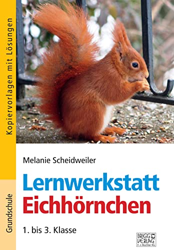 Lernwerkstatt Eichhörnchen: 1. bis 3. Klasse von Brigg Verlag KG