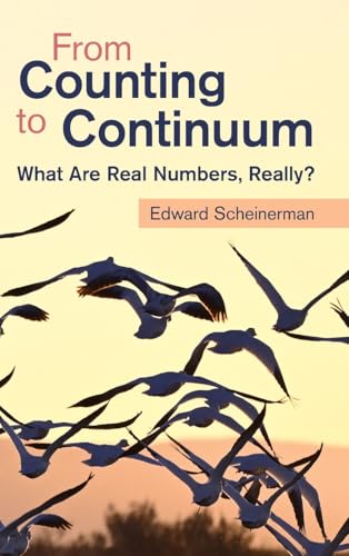 From Counting to Continuum: What Are Real Numbers, Really? von Cambridge University Press