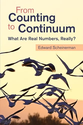 From Counting to Continuum: What Are Real Numbers, Really? von Cambridge University Press
