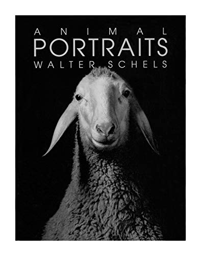 Animal Portraits