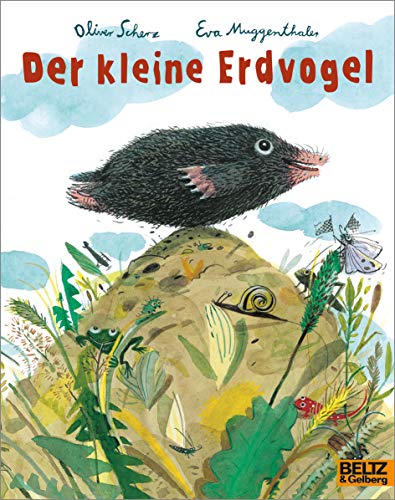 Der kleine Erdvogel: Vierfarbiges Bilderbuch (MINIMAX) von Beltz