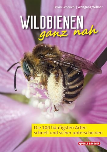 Wildbienen ganz nah: Die 100 häufigsten Arten schnell und sicher unterscheiden Wildbienen ganz nah: Die 100 häufigsten Arten schnell und sicher unterscheiden von Quelle + Meyer
