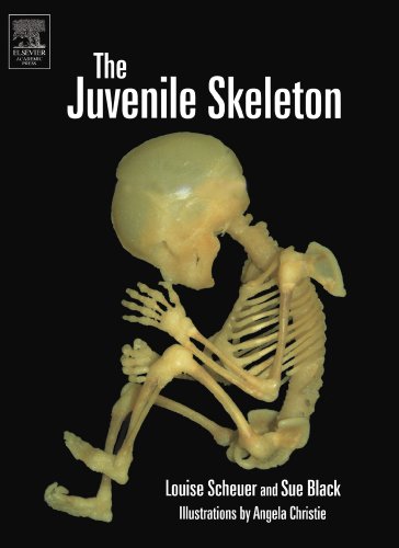 The Juvenile Skeleton von Academic Press