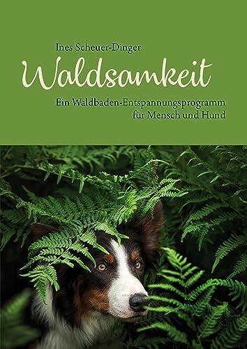 Waldsamkeit: Ein Waldbaden-Entspannungsprogramm für Mensch und Hund