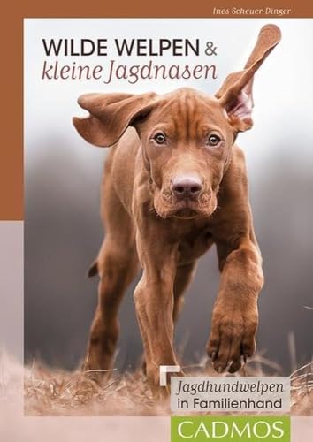 Wilde Welpen & kleine Jagdnasen: Jagdhundwelpen in Familienhand