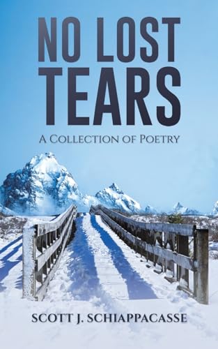 No Lost Tears: A Collection of Poetry von Austin Macauley Publishers