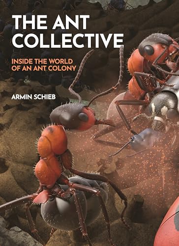 The Ant Collective: Inside the World of an Ant Colony von Princeton University Press