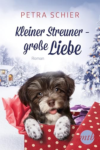 Kleiner Streuner - große Liebe: Roman (Weihnachtshund, Band 2)