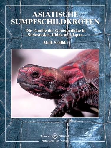 Asiatische Sumpfschildkröten. Die Familie der Geomydidae in Südostasien, China und Japan