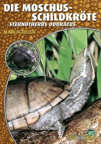 Die Moschusschildkröte: Sternotherus odoratus (Buchreihe Art für Art Terraristik)