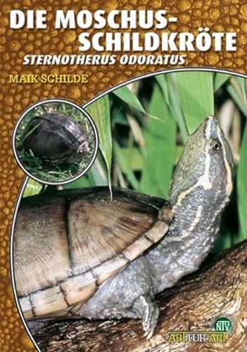 Die Moschusschildkröte: Sternotherus odoratus (Buchreihe Art für Art Terraristik) von NTV Natur und Tier-Verlag