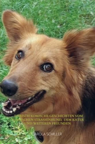 Tierisch komische Geschichten vom Bosnischen Straßenhund, dem Kater und weiteren Freunden Tierisch komische Geschichten vom Bosnischen Straßenhund, dem Kater und weiteren Freunden von vonjournalisten.de