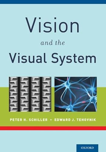 Vision and the Visual System Vision and the Visual System