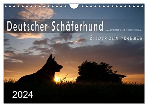 Deutscher Schäferhund/CH-Version (Wandkalender 2024 DIN A4 quer), CALVENDO Monatskalender von CALVENDO