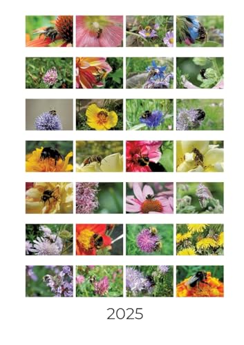 Bienen und Hummeln: Wochenkalender 2025 von tredition