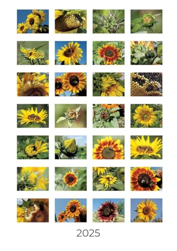 Sonnenblumen: Wochenkalender 2025 von tredition