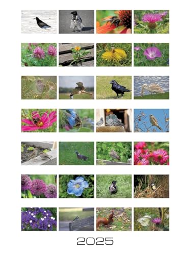 Stadtnatur: Wochenkalender 2025 von tredition