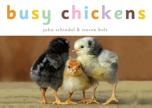 Busy Chickens (A Busy Book) von Ten Speed Press
