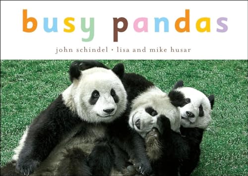 Busy Pandas (A Busy Book) von Ten Speed Press