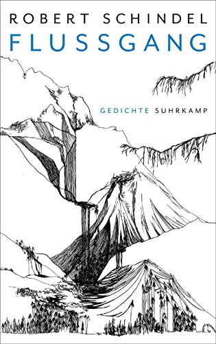 Flussgang: Gedichte von Suhrkamp Verlag