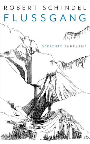Flussgang: Gedichte von Suhrkamp Verlag AG