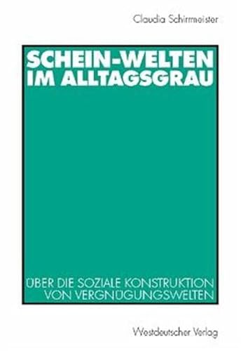 Schein-Welten im Alltagsgrau: Über die soziale Konstruktion von Vergnügungswelten von VS Verlag für Sozialwissenschaften