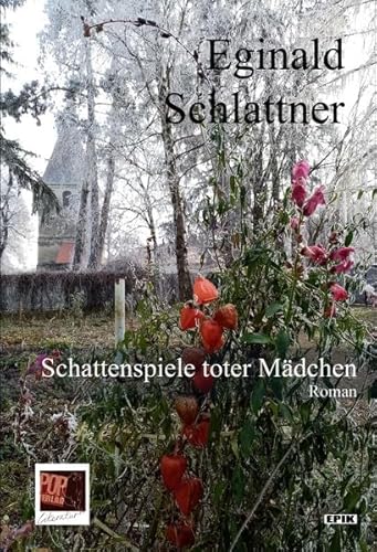 Schattenspiele toter Mädchen: Roman (Epik)