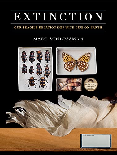 Extinction: Our Fragile Relationship With Life on Earth von Ammonite Press