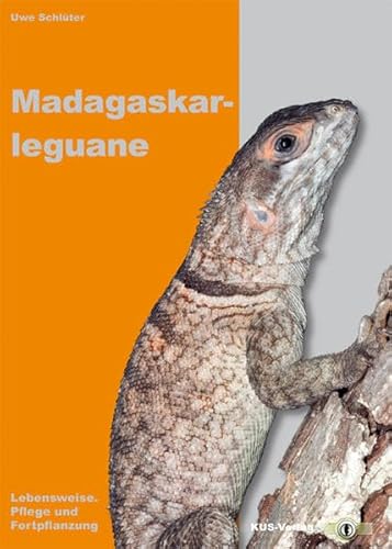 Madagaskarleguane: Lebensweise, Pflege und Fortpflanzung