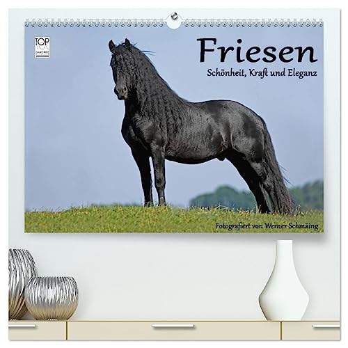 Friesen - Schönheit, Kraft und Eleganz (hochwertiger Premium Wandkalender 2025 DIN A2 quer), Kunstdruck in Hochglanz von CALVENDO