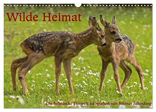 Wilde Heimat (Wandkalender 2025 DIN A3 quer), CALVENDO Monatskalender von CALVENDO