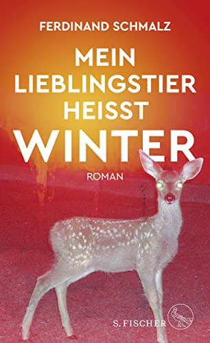 Mein Lieblingstier heißt Winter: Roman