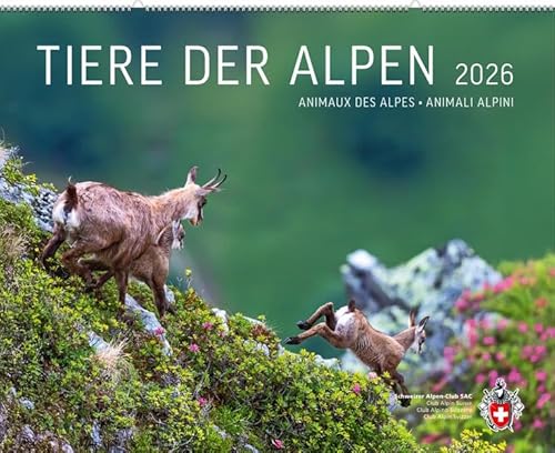 Tiere der Alpen 2026 von Weber Verlag AG - SAC-Verlag