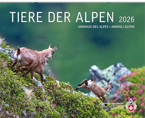 Tiere der Alpen 2026 von Weber Verlag AG