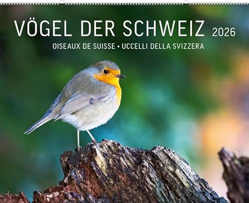 Vögel der Schweiz 2026 von Weber Verlag AG