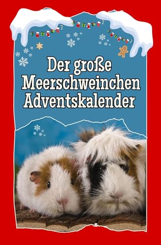 Der große Adventskalender für alle Fans von Meerschweinchen - 2024