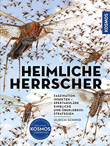 Insekten - Heimliche Herrscher: FASZINATION INSEKTEN –SPEKTAKULÄRE EINBLICKE UND ÜBERLEBENSSTRATEGIEN