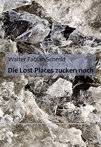 Die Lost Places zucken noch: Gedichte (edition offenes feld)
