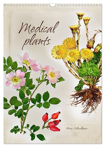 Medical plants (Wall Calendar 2025 DIN A3 portrait), CALVENDO 12 Month Wall Calendar: Medical plants ¿ very impressively shown in the style of old master craftsmen